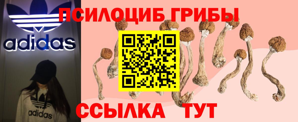 Галлюциногенные грибы прущие грибы  Вход с VPN  купить наркотик  Мурманск 